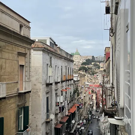 Museo 4*